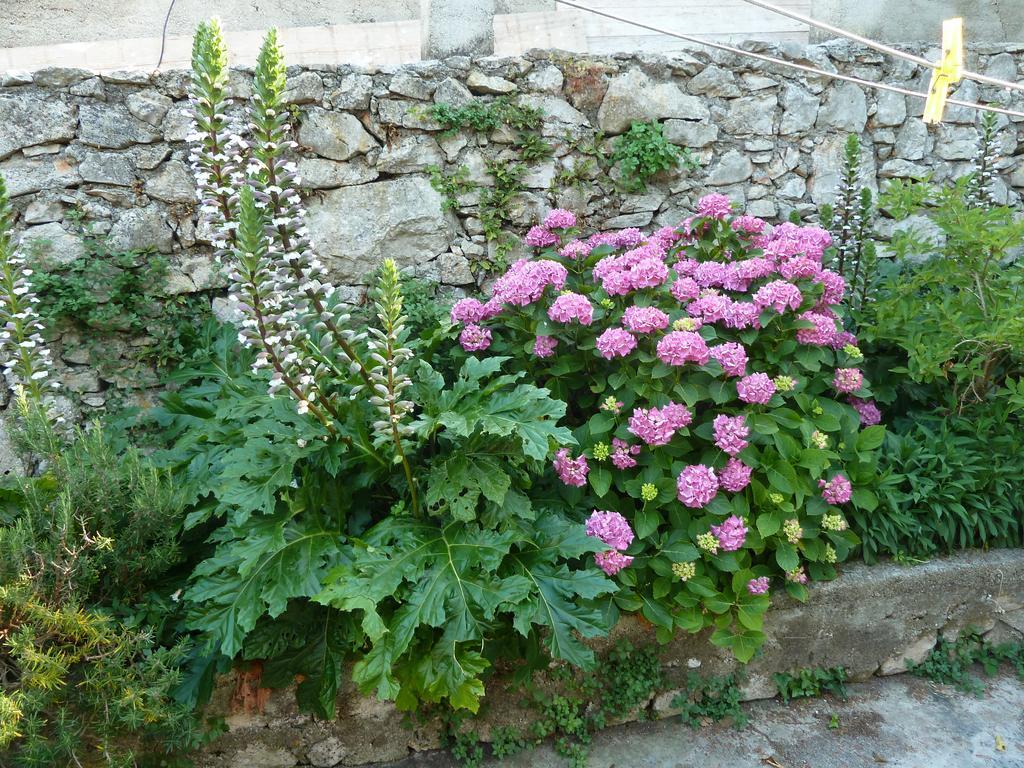 Apartment Nada Veli Lošinj Dış mekan fotoğraf